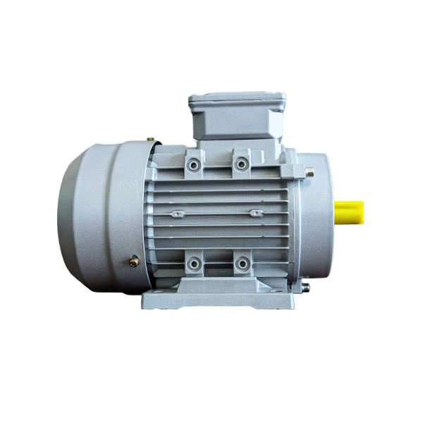 Three Phase Electric Motor