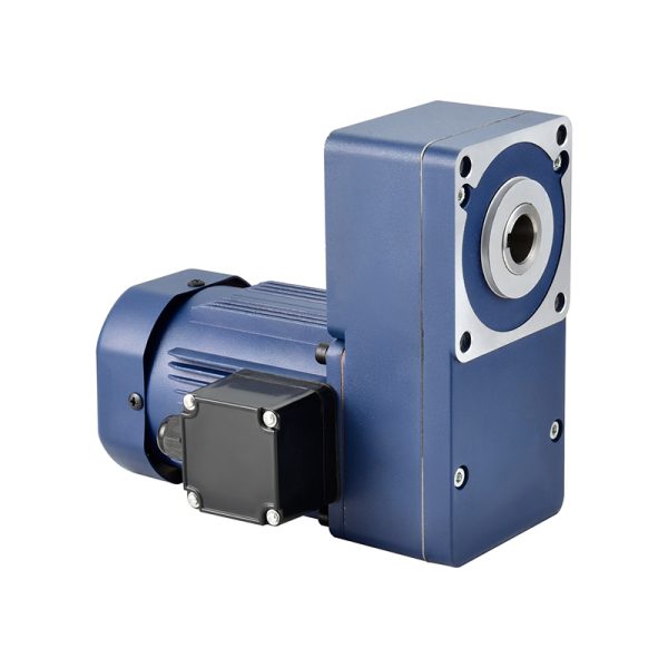 GL Series Gear Reduction Motor - Image 2